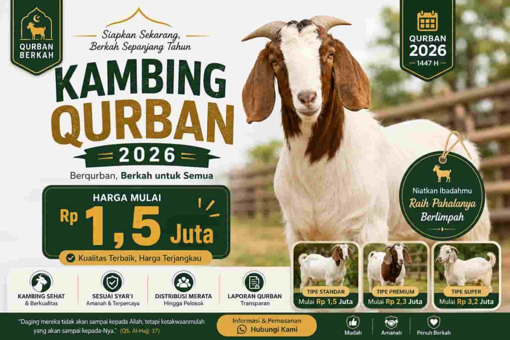 Jual Kambing Qurban Boyolali Amanah Harga Terbaik untuk Idul Adha
