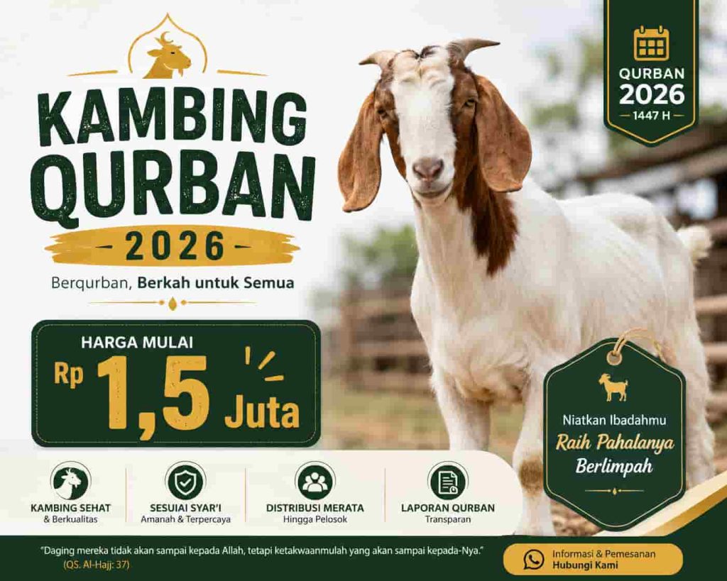 Alamat Kandang Kambing Qurban Solo yang Mudah Dijangkau dan Amanah